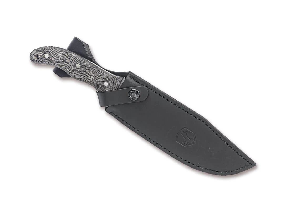 Condor Belgian Bowie 4 Condor Belgian Bowie – Bild 2