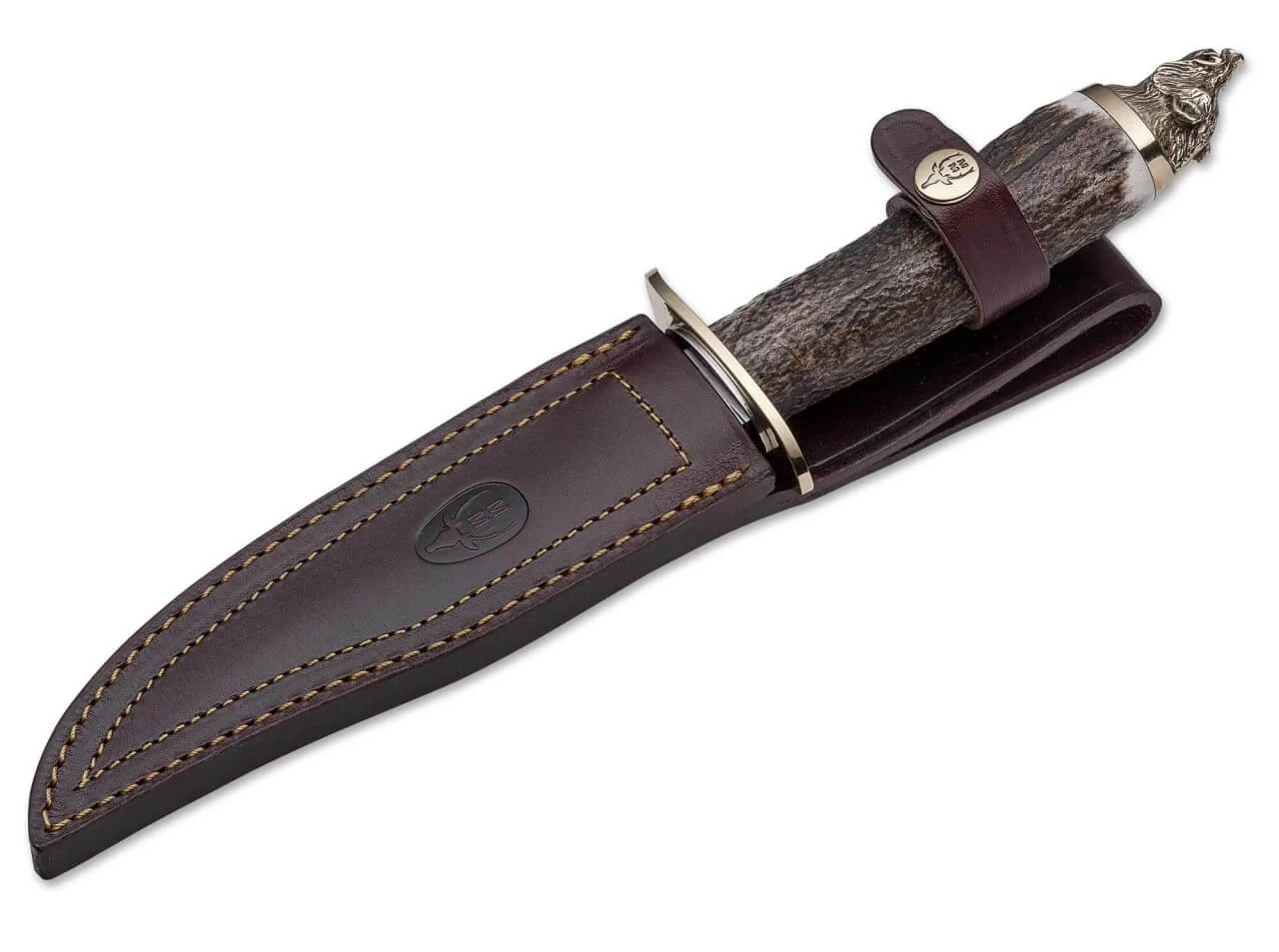 Wildboar Hirschhorn 4 Wildboar Hirschhorn – Bild 2