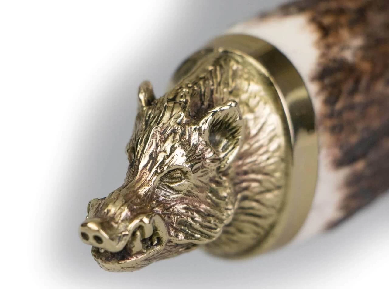 Wildboar Hirschhorn 5 Wildboar Hirschhorn – Bild 3